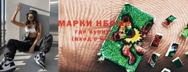 гашик Балахна